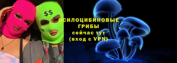 ПСИЛОЦИБИНОВЫЕ ГРИБЫ Белокуриха