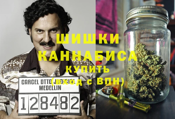 ПСИЛОЦИБИНОВЫЕ ГРИБЫ Белокуриха